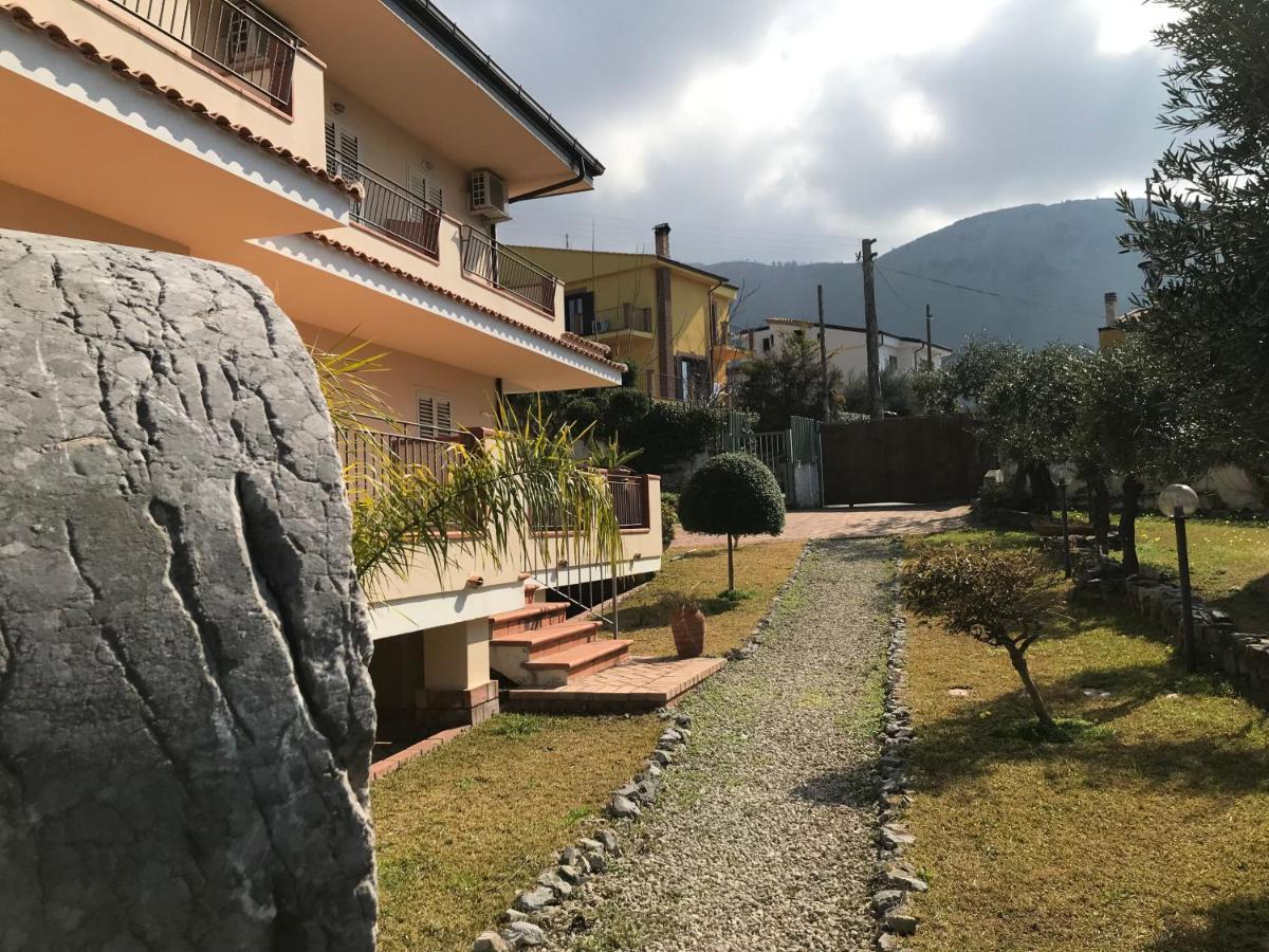 Degli Ulivi *