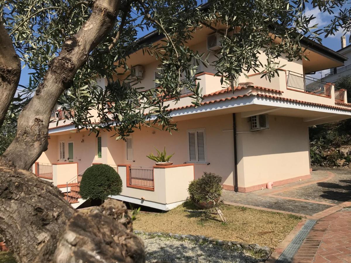 Degli Ulivi Couette-café