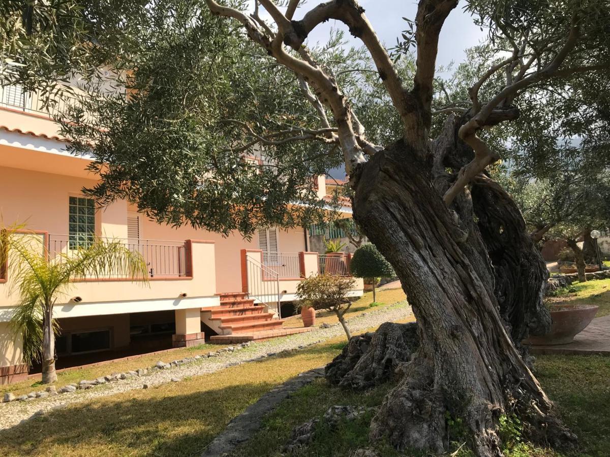 Couette-café Degli Ulivi Praia a Mare