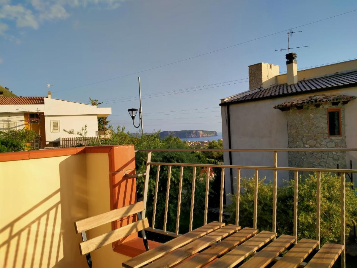 Degli Ulivi * Praia a Mare