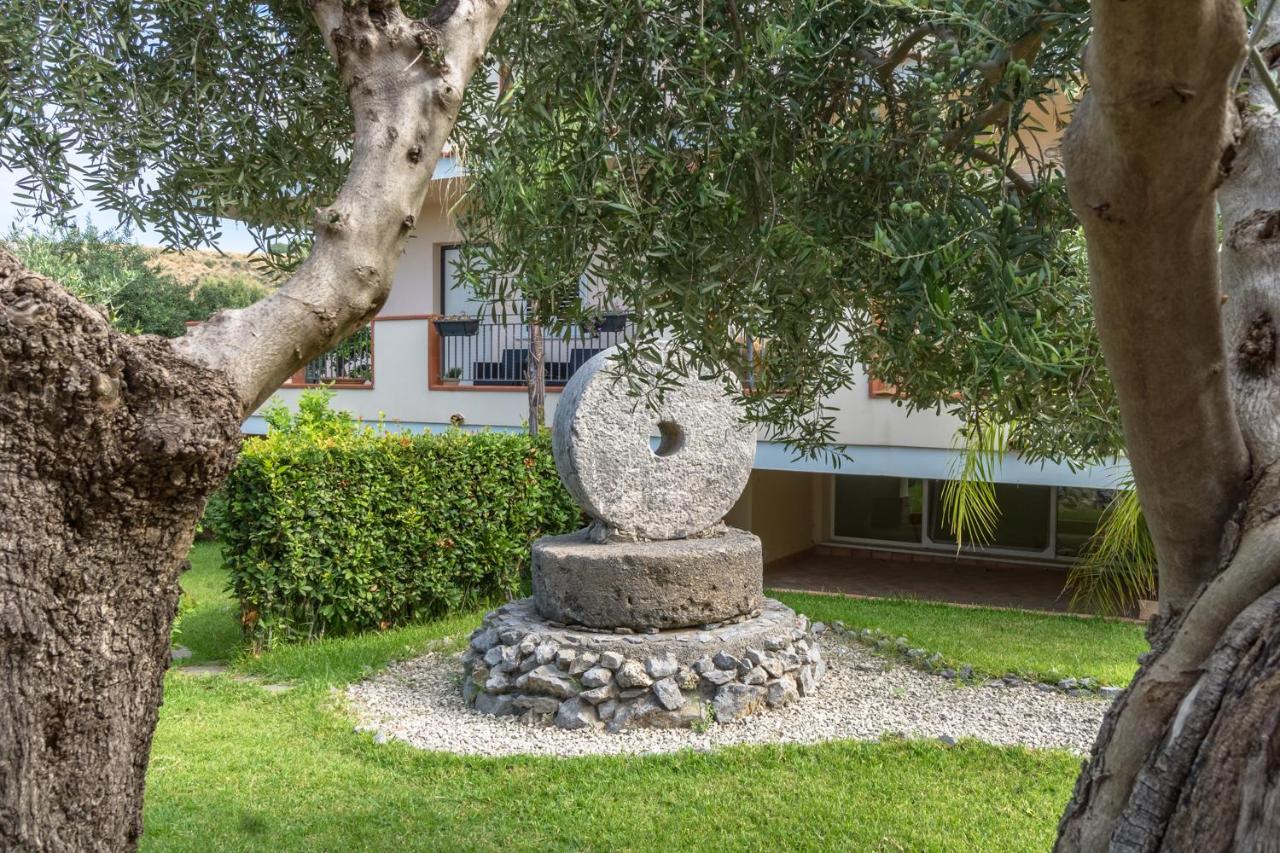 Degli Ulivi